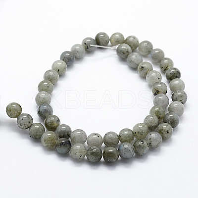 Natural Labradorite Beads Strands G-I199-15-6mm-1