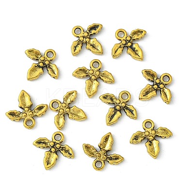 Tibetan Style Alloy Charms GLF10826Y-1