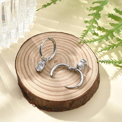 304 Stainless Steel Micro Pave Cubic Zirconia Hoop Earrings STAS-R004-07P-02-1