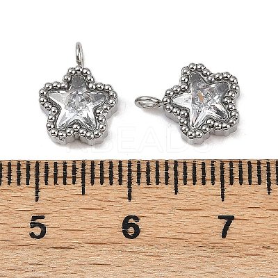 304 Stainless Steel Micro Pave Cubic Zirconia Charms STAS-K302-01A-P-1