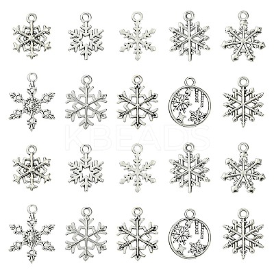 60Pcs 10 Styles Tibetan Style Alloy Pendants FIND-FS0002-21-1