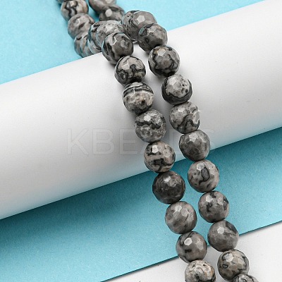 Natural Map Stone/Picasso Stone/Picasso Jasper Beads Strands G-C079-B05-01-1