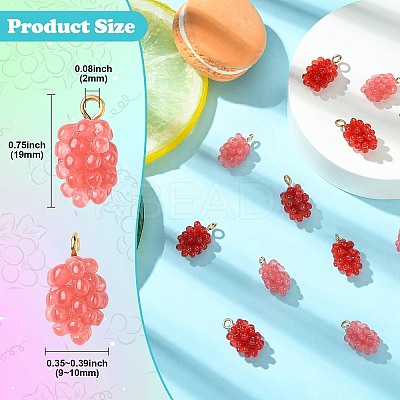 12Pcs 2 Colors Resin Pendants RESI-CJ0004-71-1