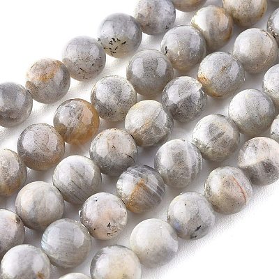 Natural Labradorite Beads Strands G-G212-8mm-23-1