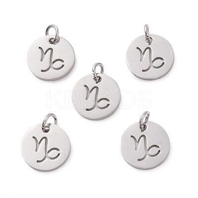 Non-Tarnish 304 Stainless Steel Charms STAS-Q201-T445-10S-1