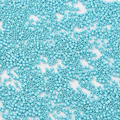 Baking Paint Glass Seed Beads X-SEED-S042-15B-34-1