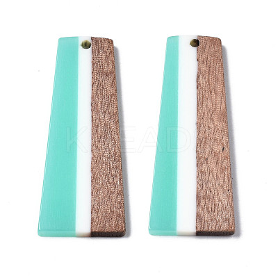Resin & Walnut Wood Pendants RESI-S389-073A-A03-1
