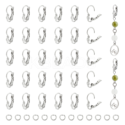 40Pcs 304 Stainless Steel Leverback Earring Findings STAS-UN0052-48-1