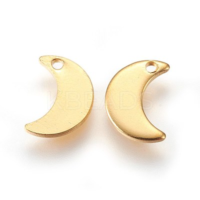 304 Stainless Steel Charms X-STAS-E447-08G-1