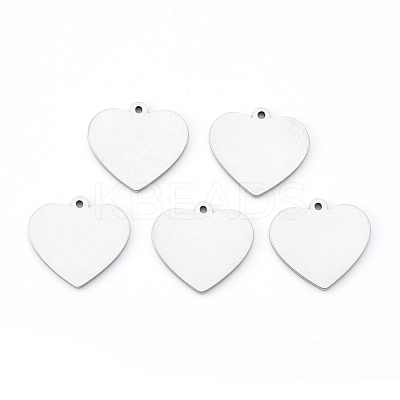 Tarnish Resistant 201 Stainless Steel Charms STAS-N092-72-1