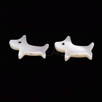 Natural Trochid Shell/Trochus Shell Beads SSHEL-T014-30-1