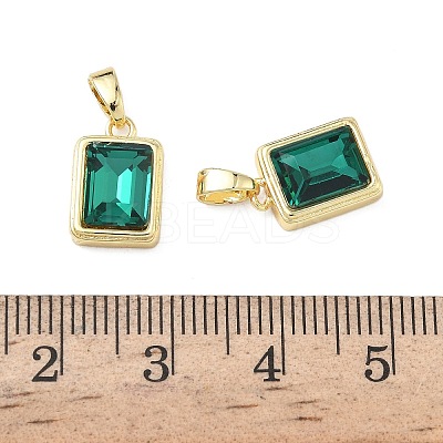 Brass Glass Charms KK-L256-20G-1