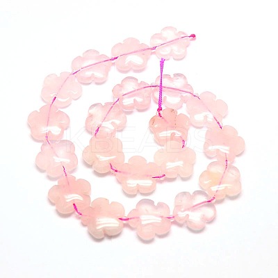 Natural Rose Quartz Flower Beads Strands G-L241A-05-1