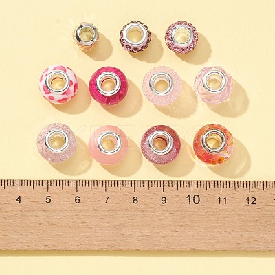 24Pcs 12 Style European Beads DIY-FS0003-45-1