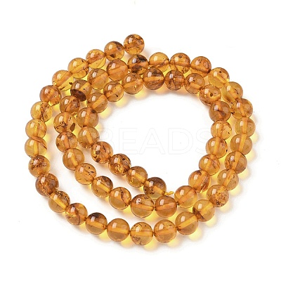 Natural Amber Beads Strands G-L095-B01-6mm-02-1