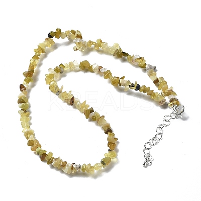Natural Supper 7 Rutilated Quartz Chip Beaded Necklaces for Men Women NJEW-G159-01B-1
