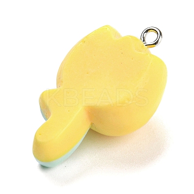 Opaque Resin Pendants LS-RESI-G078-01L-1