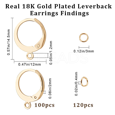 100Pcs 304 Stainless Steel Leverback Earring Findings STAS-BBC0002-68-1