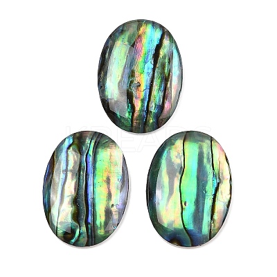 Natural Paua Shell Cabochons SSHEL-I026-20A-1