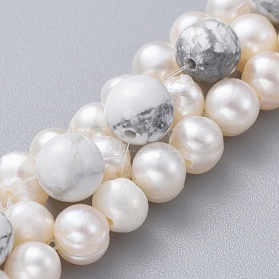 Natural Howlite Beads Bracelets BJEW-JB04604-03-1