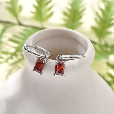 304 Stainless Steel Micro Pave Cubic Zirconia Hoop Earrings STAS-R004-06P-01-1