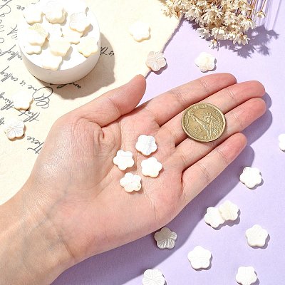 30Pcs Natural Freshwater Shell Beads Strands SHEL-CJ0001-30-1