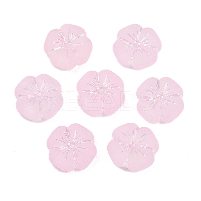 Frosted Transparent Acrylic Beads OACR-P029-19B-05-1