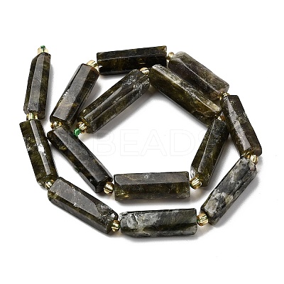 Natural Fuchsite Beads Strands G-D353-A18-1