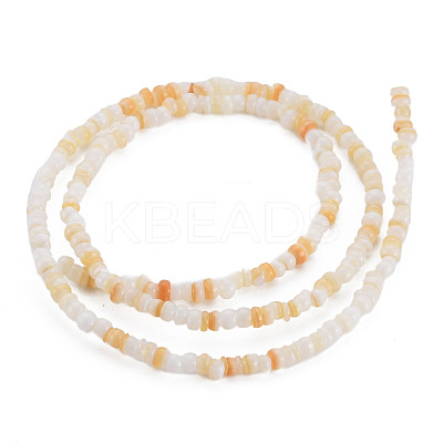 Natural Freshwater Shell Beads Strands SHEL-S278-066C-1