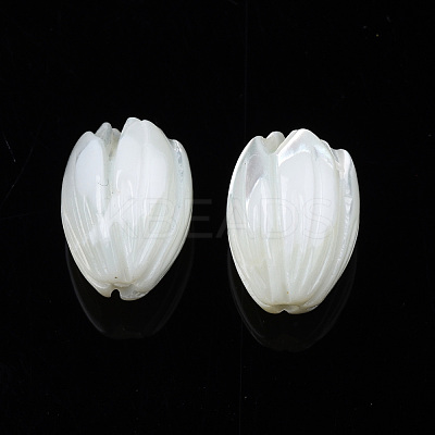 Natural Trochid Shell/Trochus Shell Beads SSHEL-T014-33-1