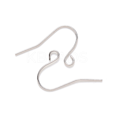 Tarnish Resistant 304 Stainless Steel Earring Hooks STAS-S111-009-1