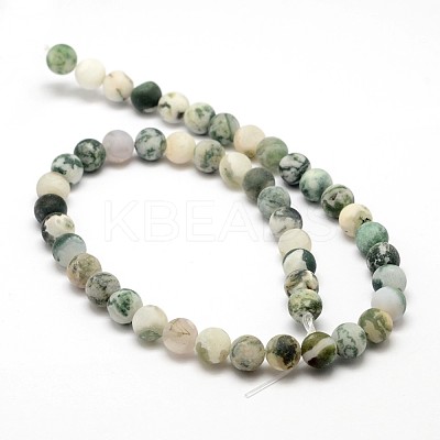 Natural Tree Agate Beads Strands G-G735-02F-6mm-1