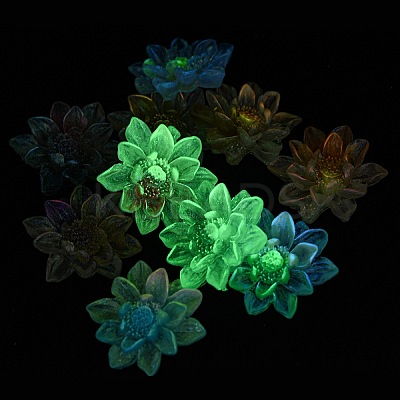 Luminous Transparent Epoxy Resin Decoden Cabochons CRES-M032-04D-1