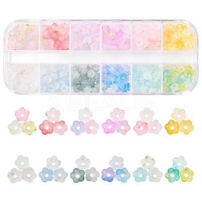 19.2G 12 Colors Frosted Transparent Acrylic Beads OACR-FS0002-18-1