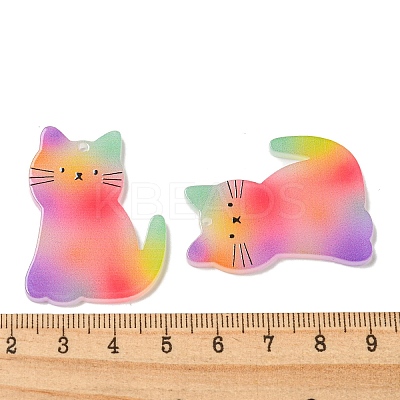 Opaque Acrylic Pendants BACR-D002-11B-02-1