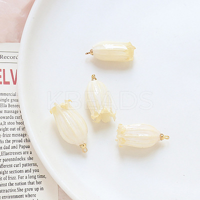 Opaque Resin Pendants LS-INS-PW0001-18A-1