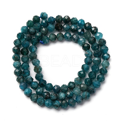 Natural Apatite Beads Strands G-A276-C08-4mm-02-1