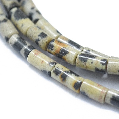Natural Dalmatian Jasper Beads Strands G-F631-B07-1