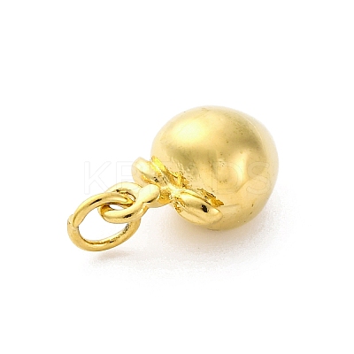 304 Stainless Steel Charms LS-STAS-U049-01A-04G-1