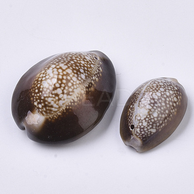 Natural Cowrie Shell Pendants SSHEL-N034-24-1