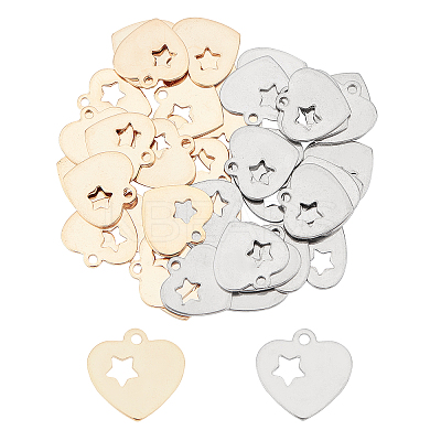 304 Stainless Steel Charms STAS-UN0019-21-1