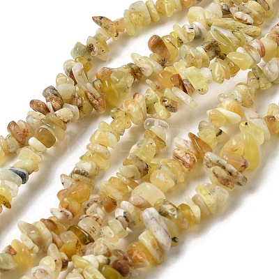 Natural Yellow Opal Chip Beads Strands G-G905-15-1