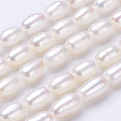 Natural Cultured Freshwater Pearl Beads Strands PEAR-P002-23-1