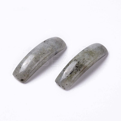 Natural Labradorite Connector Charms G-C015-01B-1