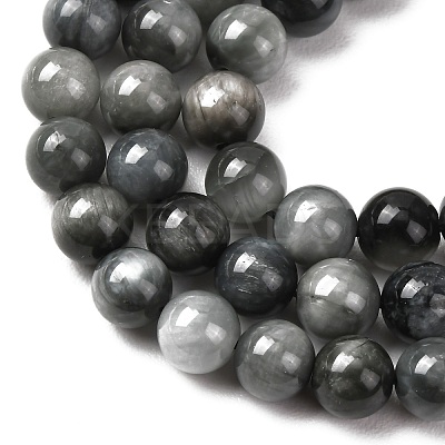 Natural Hawk's Eye Beads Strands G-L478-03-8mm-01-1