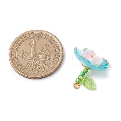 Transparent Acrylic Pendants PALLOY-MZ00822-03-1