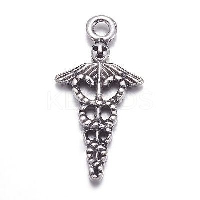 Tibetan Style Alloy Pendants TIBEP-N009-060AS-NR-1