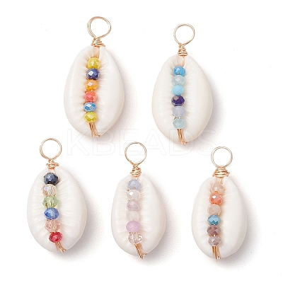 Natural Cowrie Shell Pendants PALLOY-JF02662-03-1