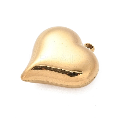 304 Stainless Steel Pendants LS-STAS-Q349-02E-G-1