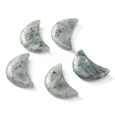 Natural Labradorite Beads G-I312-A05-1